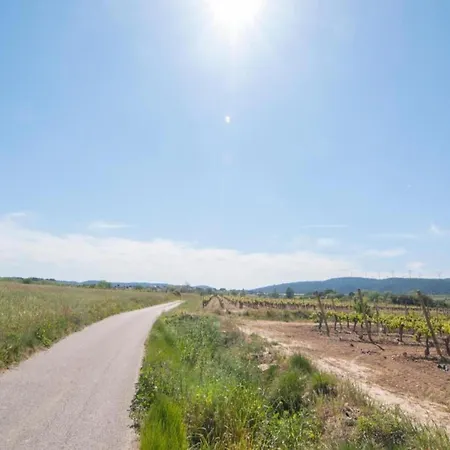 Modern With Pool * Pouzols-Minervois