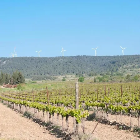 Modern Comfort In Minervois * Pouzols-Minervois
