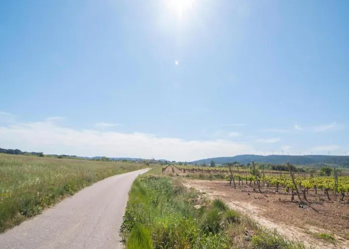 Modern Comfort In Minervois * Pouzols-Minervois
