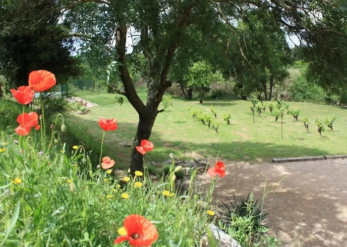 Modern Comfort In Minervois 度假居 *