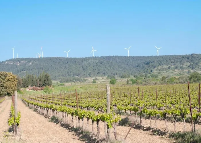 Modern Comfort In Minervois * Pouzols-Minervois