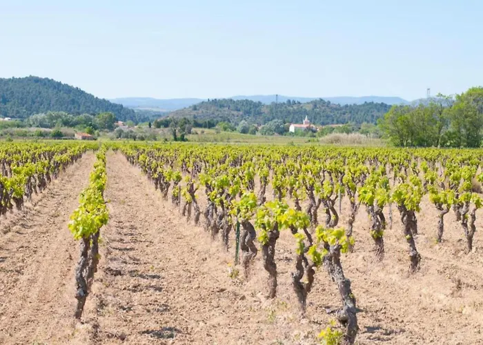 度假居 Modern Comfort In Minervois *
